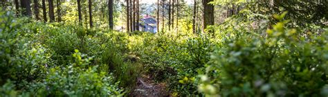 Orsa grönklitt öppettider